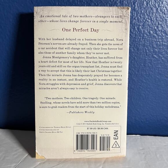 One Perfect Day: A Novel - Book by Lauraine Snelling - Picture 2 of 7